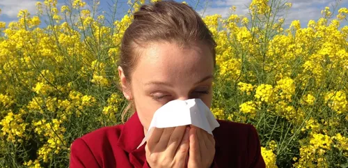 Allergies aux pollens, la saison commence !