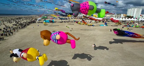 Les cerfs-volants débarquent ce week-end à Berck-sur-Mer