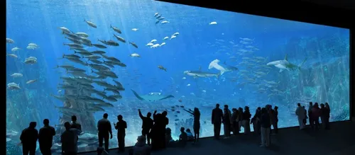 Boulogne-Sur-Mer : Un spectacle de pyrotechnie pour l'ouverture du...