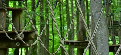 Lille : le parc d'accrobranche de la Citadelle ouvre ce samedi