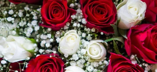 Emploi : 90 préparateurs de bouquets recherchés en Picardie pour la...