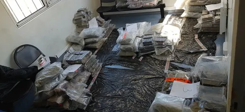 Tunnel sous la Manche : 317 kilos de cannabis saisis par les douanes