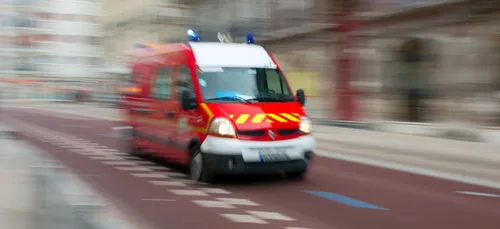 Linselles (59) : un homme meurt après la chute d'un arbre dans son...