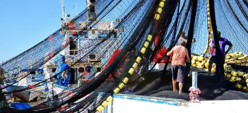 Boulogne-sur-Mer : l'entreprise de pêche Euronor recrute !