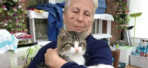 Valenciennois : un chat sauvé de justesse après avoir avalé sept clous