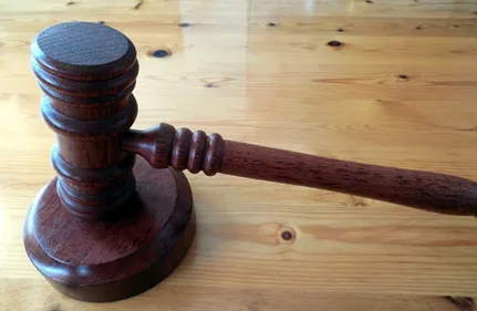 Saint-Pol-sur-Mer : huit ans de prison pour la mère de famille dont...