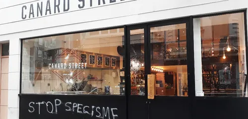 Lille : une nouvelle attaque de boutique avec un message Vegan