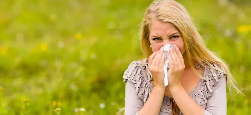 Allergies aux pollens : risque élevé dans les Hauts de France