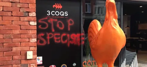 Lille : des militants vegan s'en prennent cette fois-ci à une...