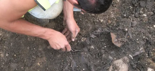 Pradelles (59) : des ossements découverts lors de travaux...