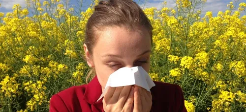 Les Hauts-de-France encore touchés par les allergies aux pollens