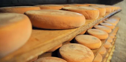 Bactérie E-Coli : de nouveaux lots de Reblochon rappelés dans la...