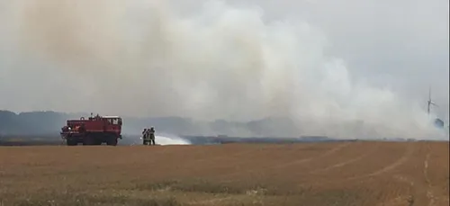 Incendie d'un champ dans la Somme : une trentaine d'hectare détruit