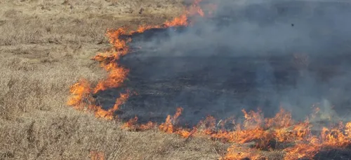 Sécheresse : appel à la vigilance face aux incendies