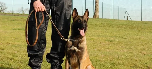 Près d'Abbeville, la gendarmerie de la Somme met à l'honneur l'un...