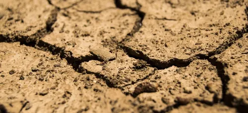 Sécheresse : restrictions d'eau pour des centaines de communes du Nord