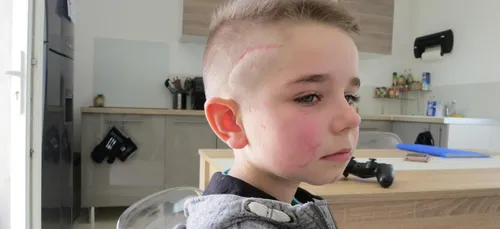 Chierry (02) : une mère de famille met en ligne une cagnotte pour...