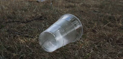 Environnement : le World CleanUp day aura lieu également dans la...