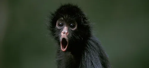 Noyon : un homme se promène nu dans la rue