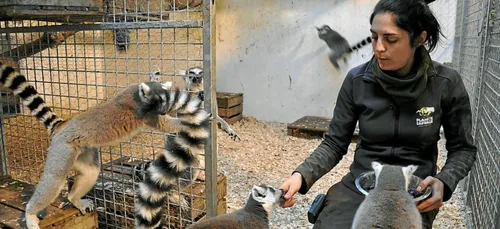 Bucquoy (62) : une formation pour devenir soigneur animalier