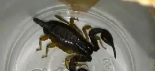 Crépy-en-Valois (60) : un employé d'une entreprise retrouve un...