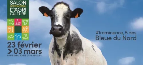 Imminence, une vache ch'ti, est la mascotte du salon de...