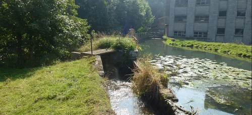 Licques (62) : les riverains inquiets face aux inondations de la Hem