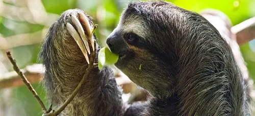 Zoo de Lille : bientôt la fermeture hivernale