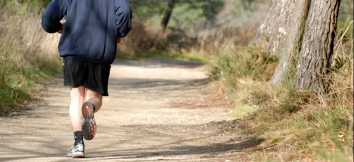 Roncq : un joggeur touché par les tirs d'un chasseur