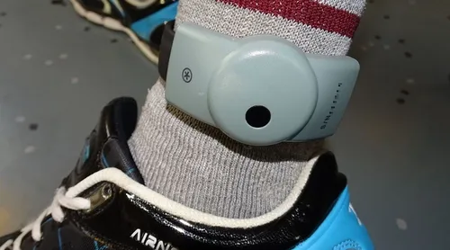 Calais : elle faisait porter son bracelet électronique par son chat