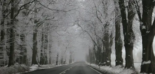 Vague de froid annoncée pour la fin de la semaine