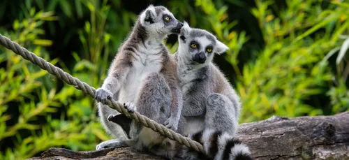 Emploi : derniers jours pour s'inscrire aux sessions de recrutement...