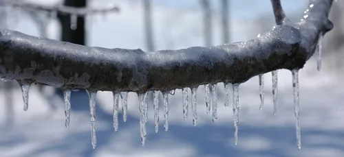 Hauts-de-France : attention au verglas cette nuit et demain matin...