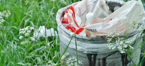 Lille : en rando ou en footing, une « clean walk » pour nettoyer la...