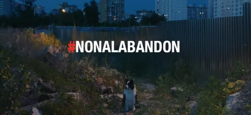 100 000 animaux abandonnés chaque année en France