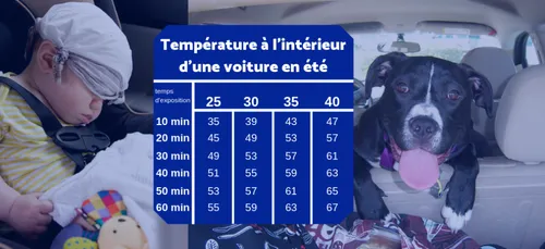Près de 60° dans la voiture en moins de 30 minutes