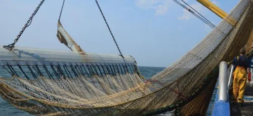 La pêche électrique officiellement interdite dans les eaux Françaises