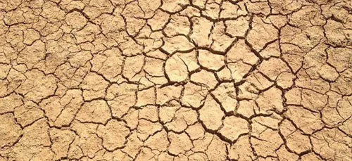 Situation de sécheresse très préoccupante dans l'Oise : encore 13...