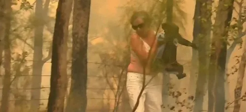 Les incroyables images d'un koala sauvé des flammes (VIDEO)