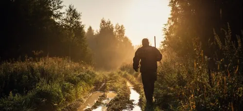 Accident de chasse dans le Nord : un père tire involontairement sur...
