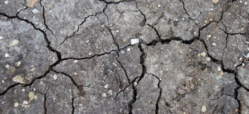 L'alerte sécheresse prolongée dans le Nord