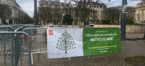 Lille : une deuxième vie pour votre sapin de Noël