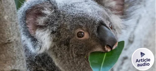[INTERVIEW] Confection de poches à Boulogne-Sur-Mer : vous pouvez...