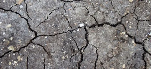 Fin de l'alerte sécheresse dans le Nord