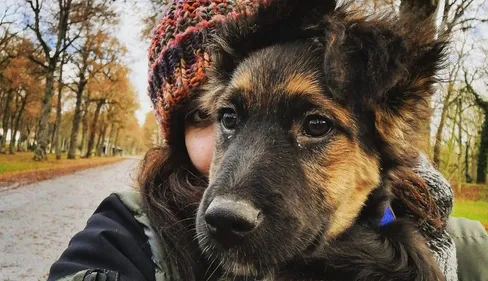 Un projet de refuge pour animaux a besoin de soutien à Rethel