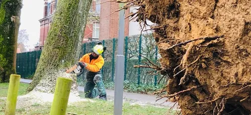 Nouveaux dégâts après le coup de vent de ce week-end