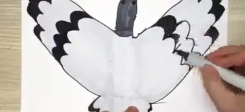 LE DESSIN DU JOUR #6