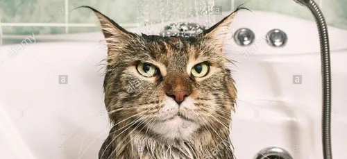 Coma éthylique, intoxications et brûlures cutanées à cause...