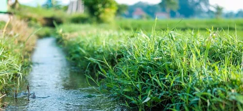 Pas-de-Calais : malgré une bonne recharge des nappes phréatiques,...