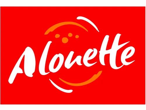 Ano LIRMBWEB283 : position image cas 1 : centrée